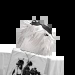 Image result for Ant Roblox Character