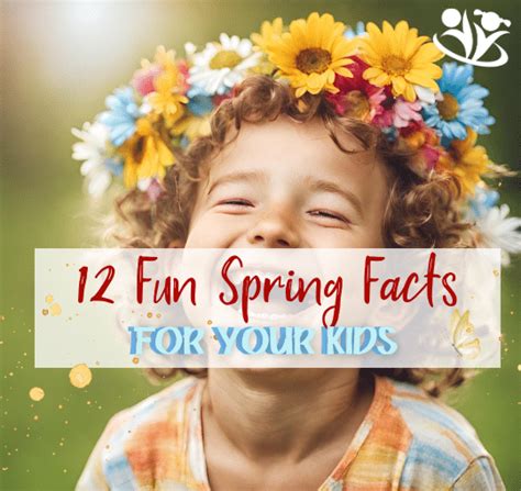 Image result for Spring Facts