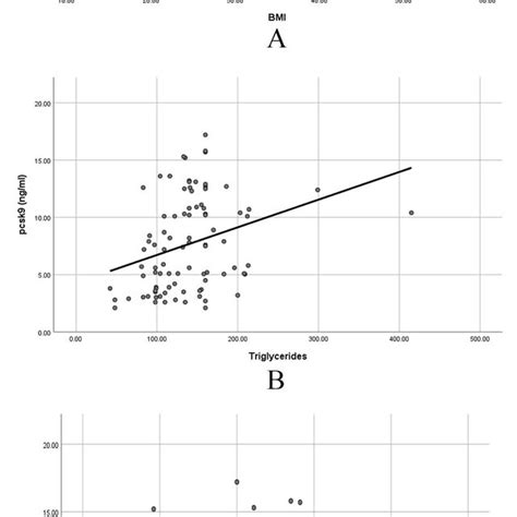 Scatter Graph Positive Correlation に対する画像結果