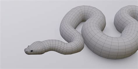 Anaconda Python Snake に対する画像結果