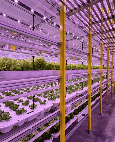 Toradh íomhá ar Patented Vertical Design