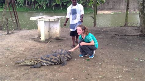 Source Code Lab に対する画像結果