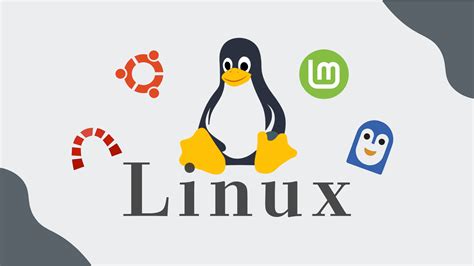 Toradh íomhá ar Pytorch と は