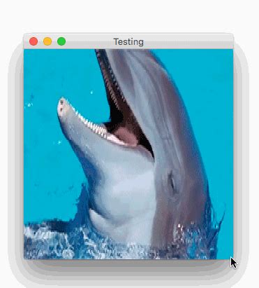 Image result for Import GIF into Java