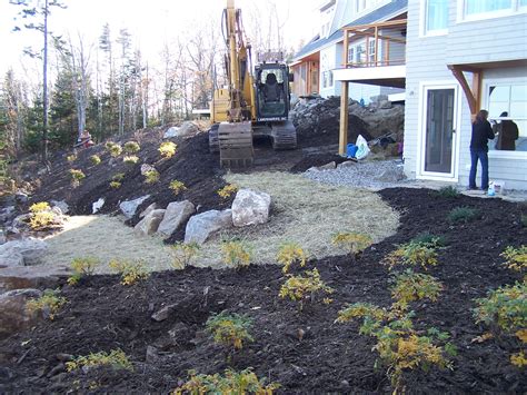 Image result for Planting in Landscape Construction