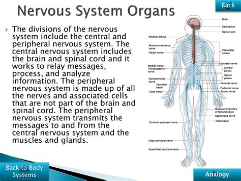 Image result for Human Highlight-Reel