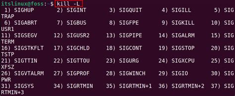 Image result for Kill Command Linux