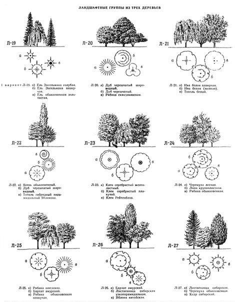 Image result for Plan View Plant Symbols