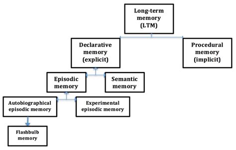 Image result for Types of Long-Term Memory