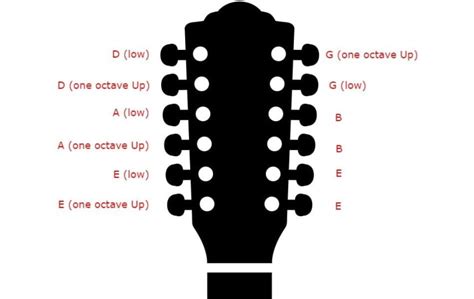 Image result for 12 String Guitar Labeled Diagram