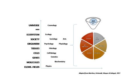Image result for Dynamic Systems Theory Chart