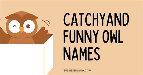 Image result for Funny Owl Names