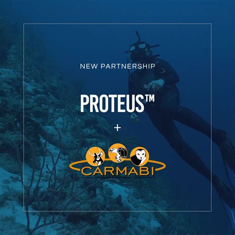 Toradh íomhá ar Proteus Curacao