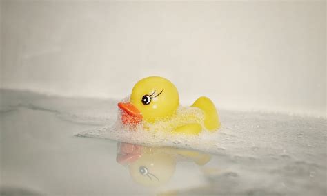 Rubber Duck in Bath · Free Stock Photo