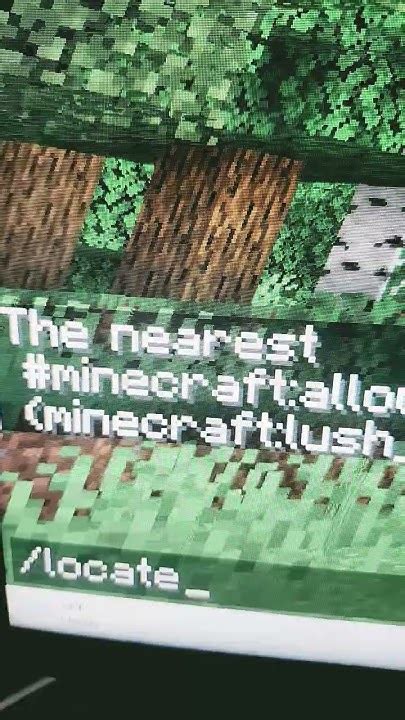 Image result for Internal Command for Minecraft Java