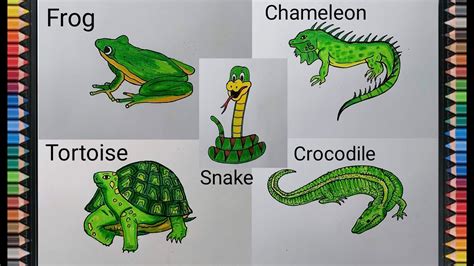 Image result for 3 Reptiles Animal Drawing