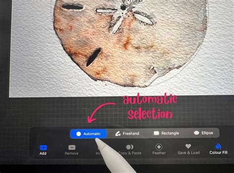 Afbeeldingsresultaten voor Procreate Quike Remove Background