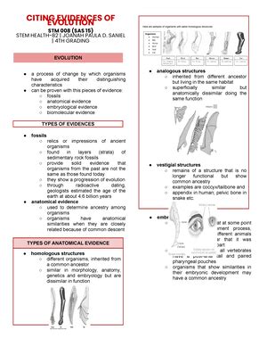 Toradh íomhá ar Module Theoretical Test