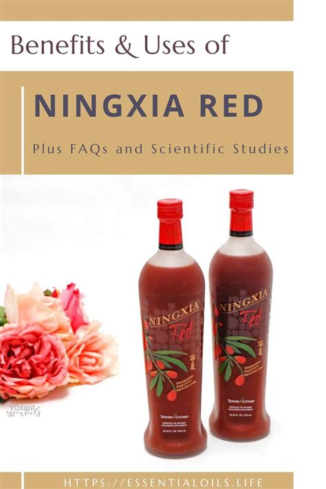 Image result for NingXia Red Discus