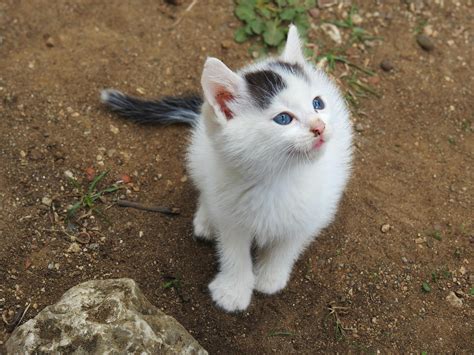 Small Location Icon に対する画像結果