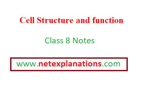 Image result for Cell Structure and Function Class 8 PDF