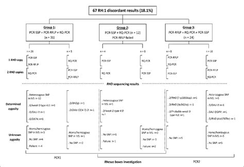 Image result for Discordant SPSS