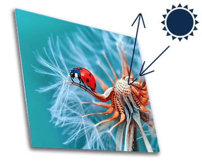 ChromaLuxe Tutorial に対する画像結果