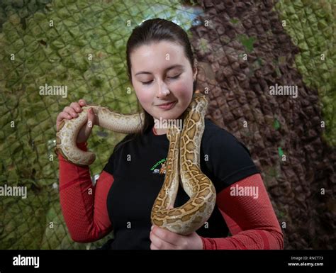 Toradh íomhá ar Handling Burmese Python