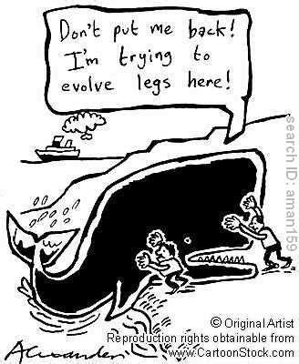 Image result for Evolution Cartoon Jokes