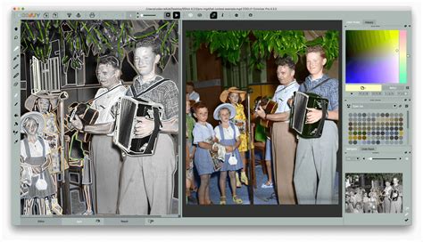 Image result for Colorizer Pro