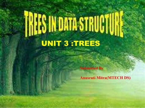 Image result for Forest and Trees Data Structure in Research