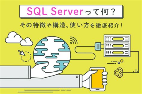Sp SQL Server に対する画像結果