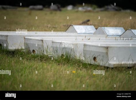 Image result for Connecting Water Trough in Field