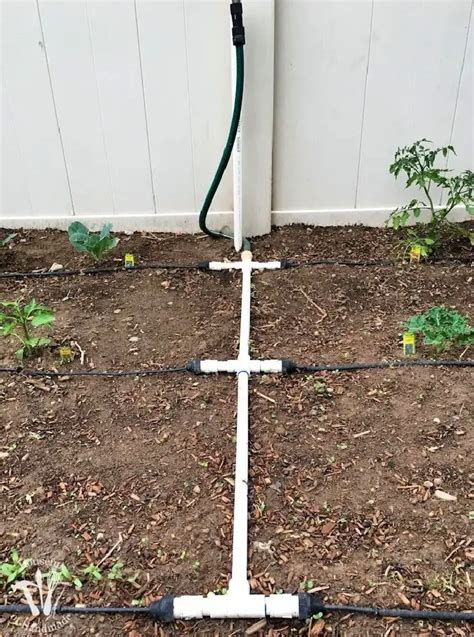 Image result for Above Ground PVC Sprinkler System