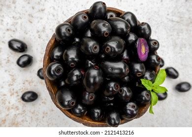 Image result for Java Plum Printable