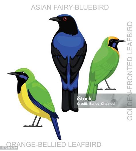 Toradh íomhá ar Accouplement Sour Is