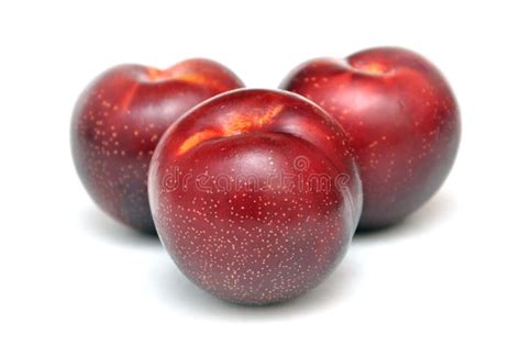 Image result for Red Plum Fruit