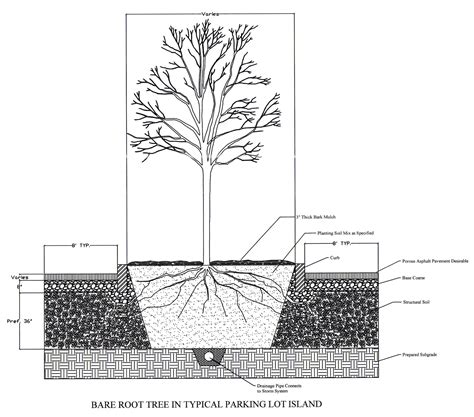 Image result for Planting in Landscape Construction