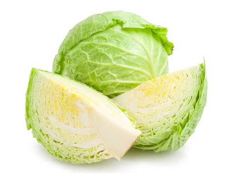 Image result for Cabbage