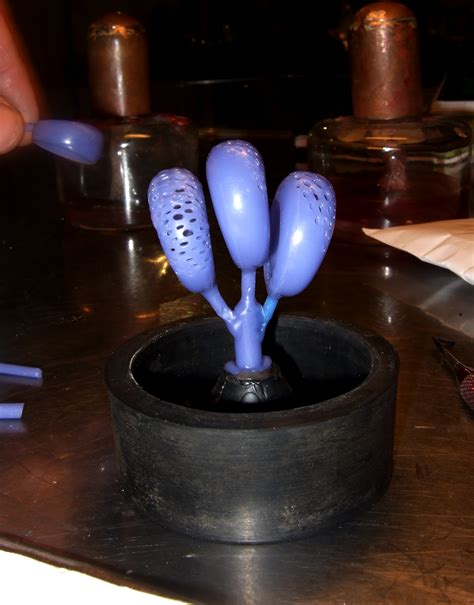 Image result for Goggle Adress Wax Ceder