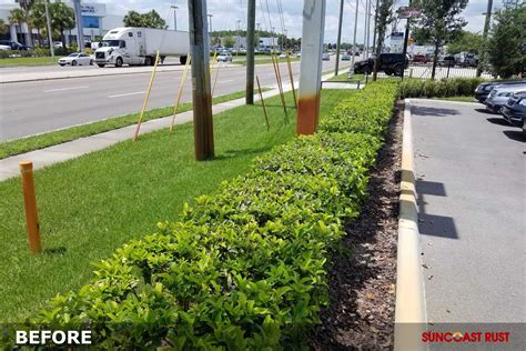 Image result for Rust Removal Before and After