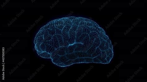 Brain Stem Animation に対する画像結果