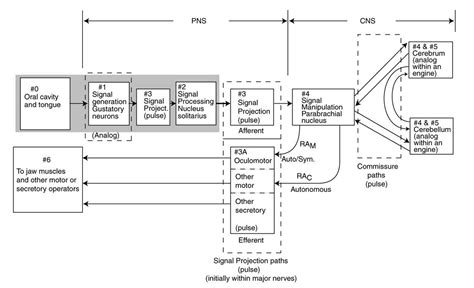 Image result for Direct Manipulation Interface Block Diagram