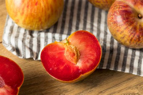 Image result for Red Plumcot