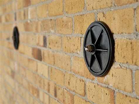 Image result for Python Plates