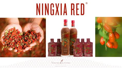 Image result for NingXia Red Discus