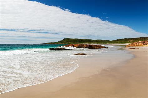 Image result for Sea Wave Pattern Decoration