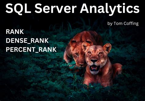 Dense Rank SQL Server के लिए छवि परिणाम