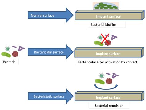 Biomimetics Coating ಗಾಗಿ ಇಮೇಜ್ ಫಲಿತಾಂಶ