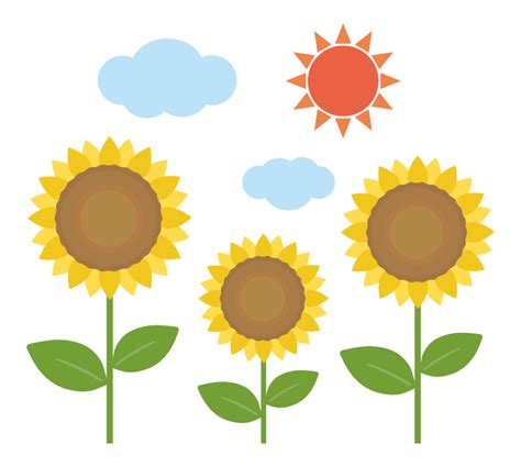 Image result for 夏 イラスト かわいい